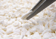 乾燥こんにゃく米『ゼンパスタライス』