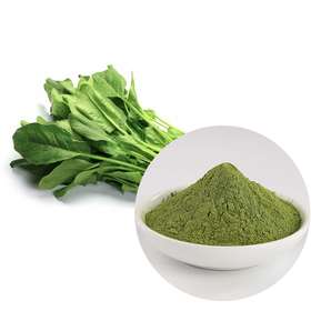 Spinach Powder.jpg