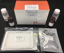 ヒト由来エクソソーム定量用ELISAキット