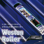 Brushless Motor Roller "Weston Roller" *Technical explanation materials provided