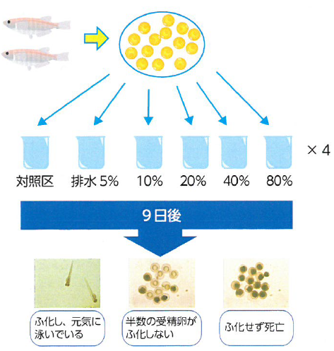 生物応答を利用した新たな排水管理手法『WET試験』