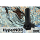 hypserNOR.jpg