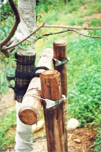 『添木結束クランプ』