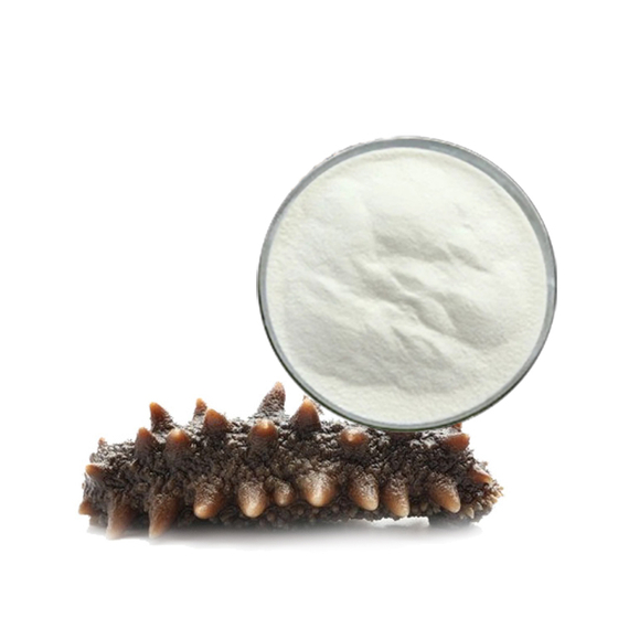Sea Cucumber Peptide.jpg