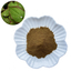Ikarisou extract powder, high content of ikarinin 10% to 98% available.