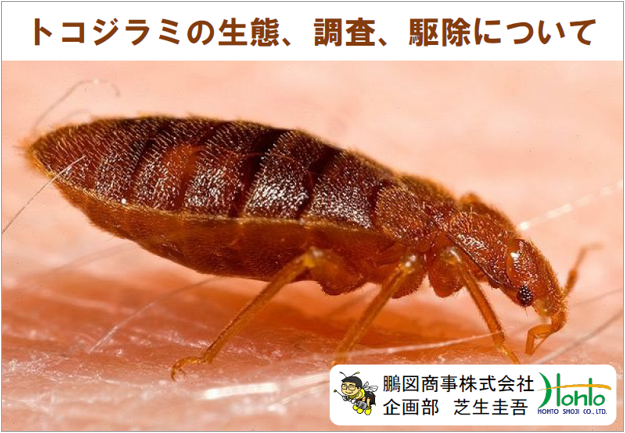 資料】トコジラミの生態、調査、駆除について | 鵬図商事 - Powered by