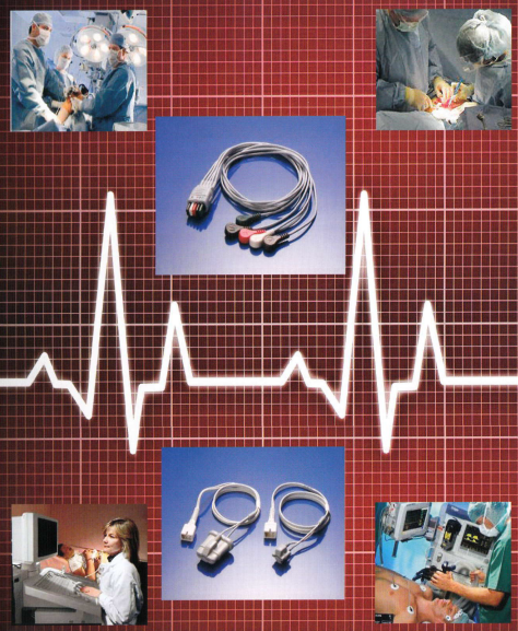 タヤインターナショナル株式会社 事業紹介