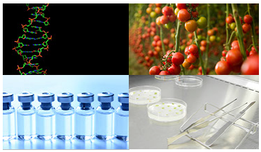 株式会社インプランタイノベーションズ　事業紹介