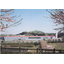 [Case] Musashino Foods Co., Ltd. Kamsu No. 2 Factory