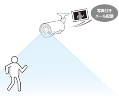 【IPカメラ・防犯カメラの活用事例】ペットホテル、トリミング