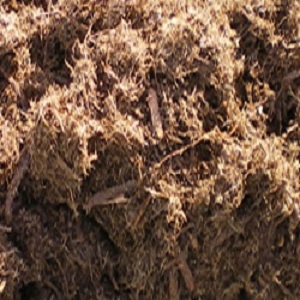 大林式緑化工法（腐らない樹皮の土「Eソイル」）