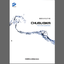 Chubu Bika Corporation Civil Engineering Materials Comprehensive Catalog