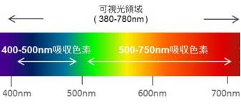 機能性色素材料「可視光吸収材料」