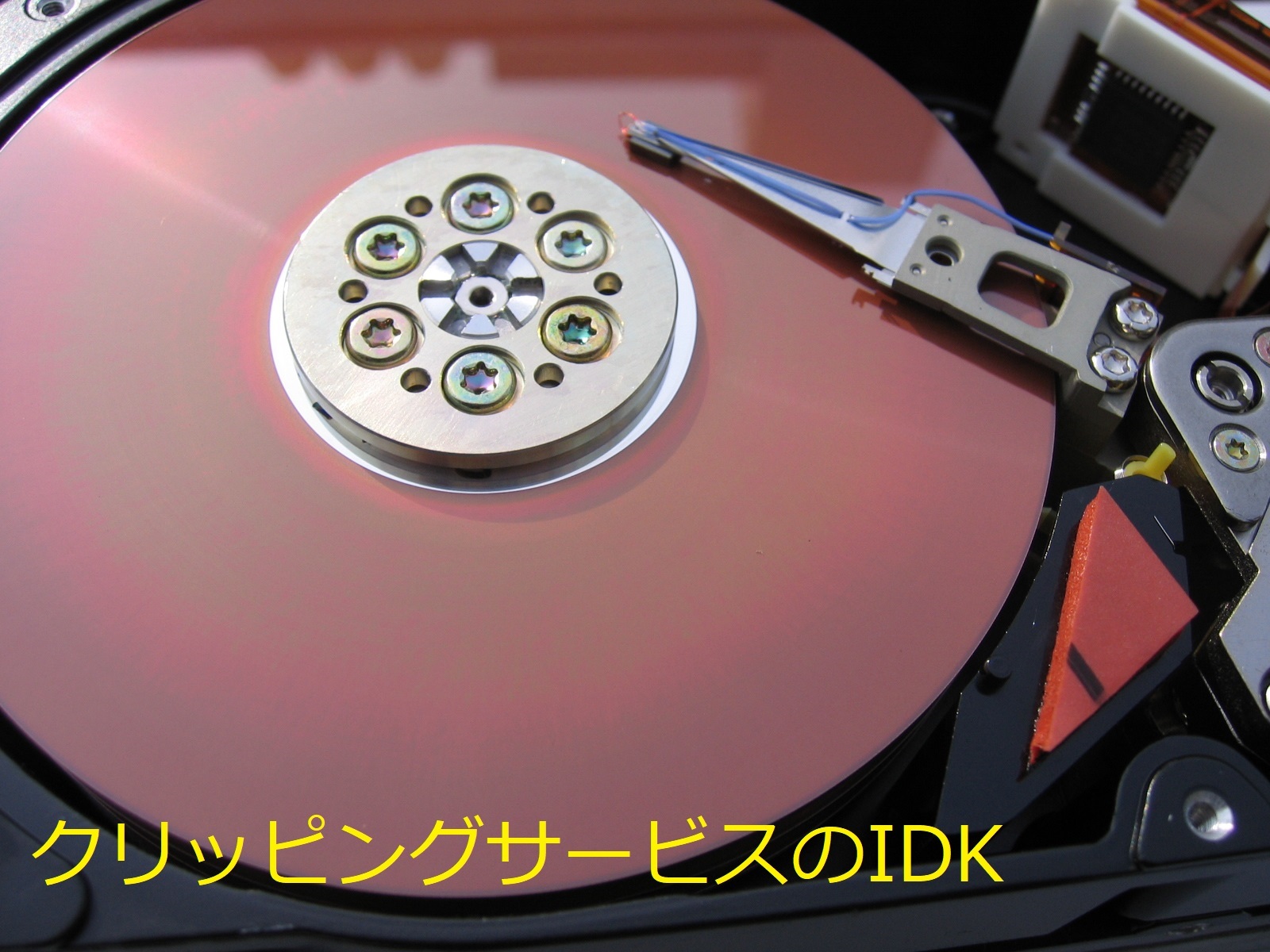 クリッピングサービス　【ＣＬＩＰ】