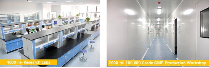 組換えタンパク質