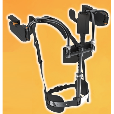 image_06.png