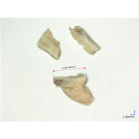 【事例】受託加工　危険異物除去　乾燥鶏肉＜8mmの硬質な骨＞