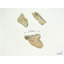 [Example] Contract Processing - Removal of Hazardous Foreign Objects - Dried Chicken Meat <Hard Bones <8mm>