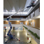 No scaffolding needed for high-altitude work! Spider-type aerial work platform BLUE LIFT.