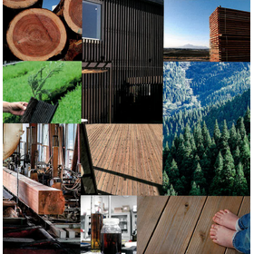 Large-diameter high-durability red heartwood "ObiRED" product image