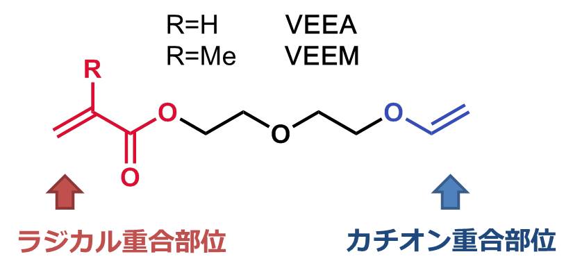異種重合性モノマー『VEEA、VEEM』