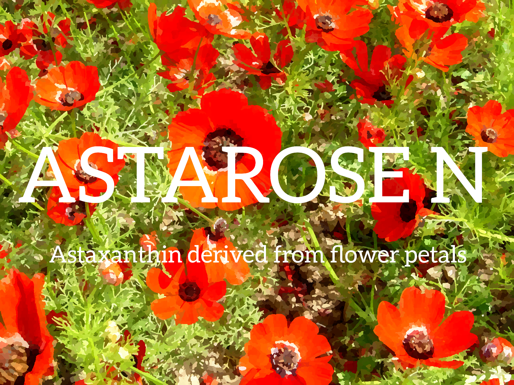 花びら由来アスタキサンチン『アスタローズN』