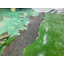 [Floor Coating Project Example] Saitama Prefecture Food Factory