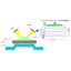 Contracted Service "Molecular Interaction Analysis"
