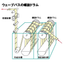 Heat Exchanger Continuous Heating, Cooling, and Dehydration Device "Wave Pass"