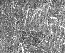 半田濡れ性に優れた無電解Ni-P置換Auめっき代替めっきプロセス