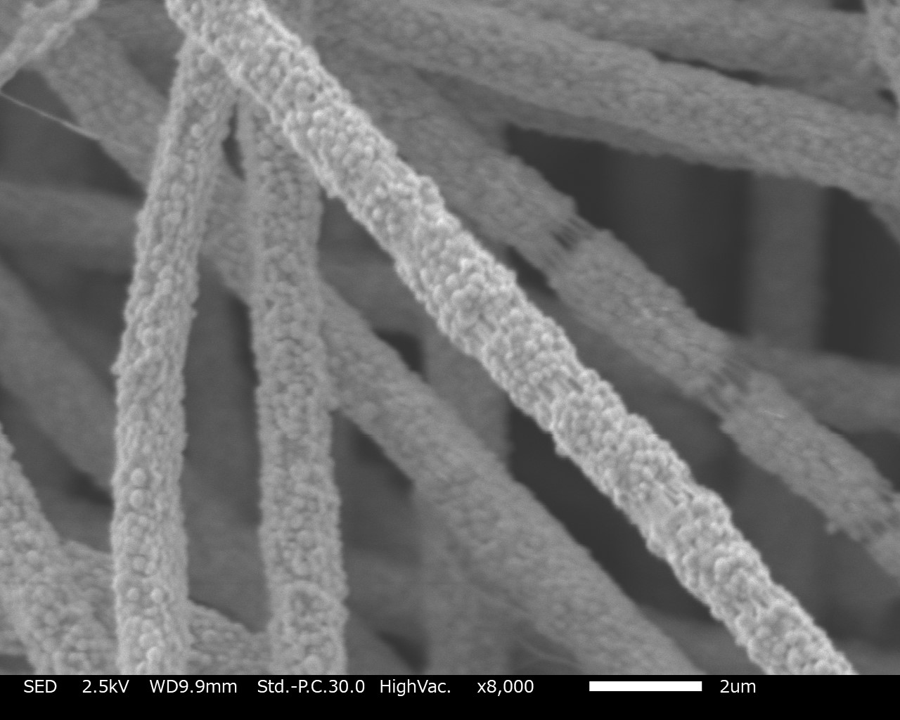 ＜医療＞＜創薬＞ ナノファイバー　サンプル作製の流れ