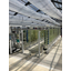 Closed-type photobioreactor for algal culture in glass tubes.