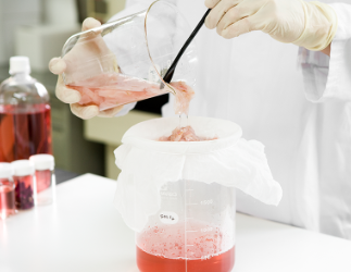 化粧品成分の開発