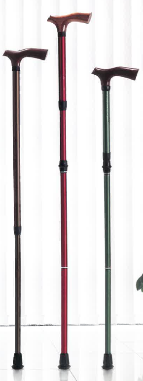 フリーロックステッキ