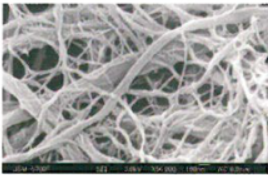 微小繊維状セルロース『セリッシュ』