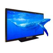 立体裸眼ディスプレイ装置「マジックビューシステム」