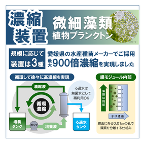 微細藻類・植物プランクトン濃縮向けUF膜装置