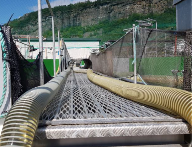 養殖用　ホース