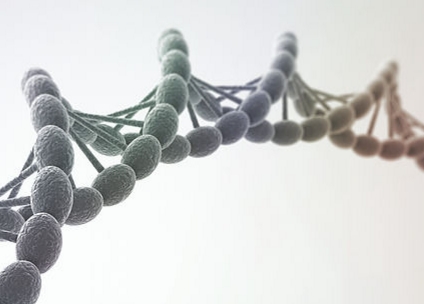 株式会社Trans Chromosomics 事業案内