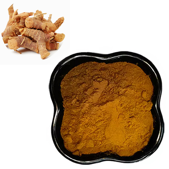 Alpinia Galanga Extract.jpg