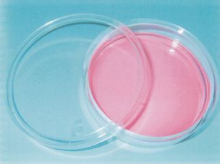 液漏れ防止型ディッシュ