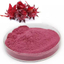 ローゼルエキス末 天然酸味・抗酸・美容に役立つハイビスカス抽出物