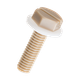 PEBTS-T.png
