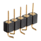 PRM-210484-03.png