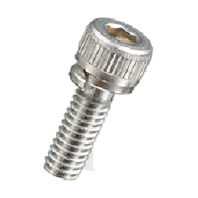 Stainless Hex Socket Bolt (with 1 Washer) / UC-S