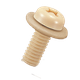 PS-PS.png