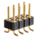 PRM-22.png