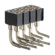 FRR-22.png