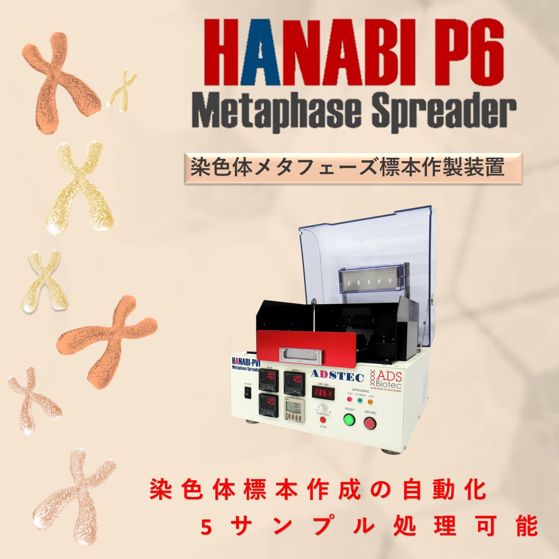 くなりみい出品 立体標本8点 染色体メタフェーズ標本作製装置『HANABI P6』 エーディーエステック