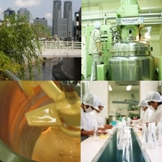 ランインターナショナル株式会社 事業紹介